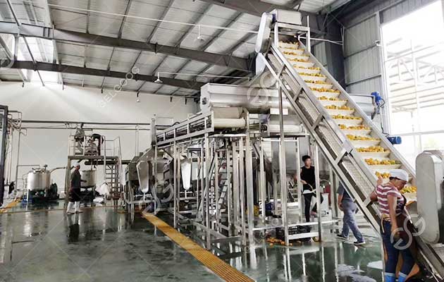 Mango Pulp Export & Processing Logistics